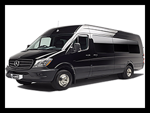 Passenger Van